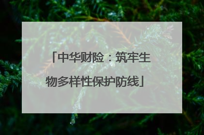 中华财险：筑牢生物多样性保护防线