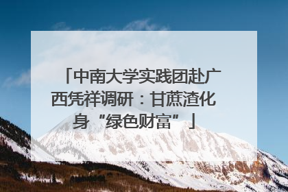 中南大学实践团赴广西凭祥调研：甘蔗渣化身“绿色财富”