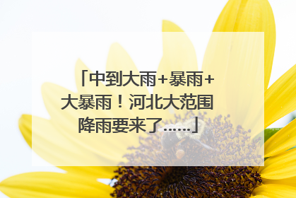 中到大雨+暴雨+大暴雨！河北大范围降雨要来了……