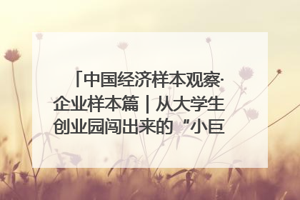 中国经济样本观察·企业样本篇｜从大学生创业园闯出来的“小巨人”——卡诺普机器人的逐梦历程