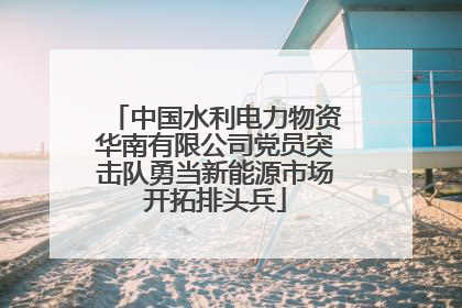 中国水利电力物资华南有限公司党员突击队勇当新能源市场开拓排头兵