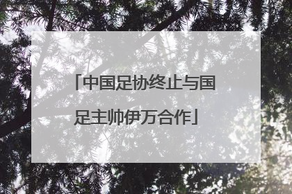 中国足协终止与国足主帅伊万合作