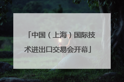 中国（上海）国际技术进出口交易会开幕