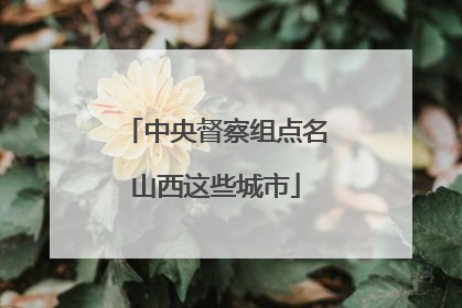 中央督察组点名山西这些城市