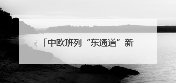 中欧班列“东通道”新建绥芬河隧道正式贯通