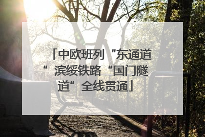 中欧班列“东通道”滨绥铁路“国门隧道”全线贯通