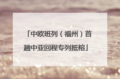 中欧班列（福州）首趟中亚回程专列抵榕