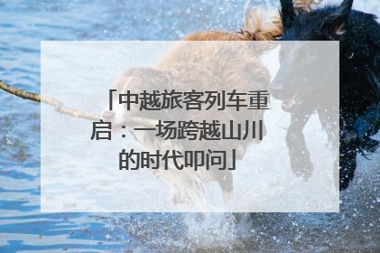中越旅客列车重启：一场跨越山川的时代叩问