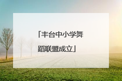 丰台中小学舞蹈联盟成立