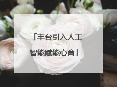丰台引入人工智能赋能心育