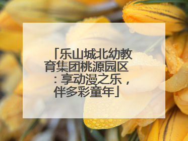 乐山城北幼教育集团桃源园区：享动漫之乐，伴多彩童年