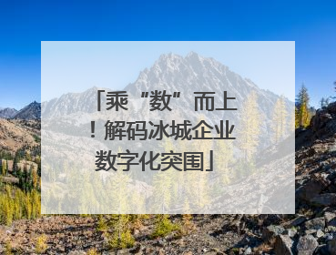 乘“数”而上！解码冰城企业数字化突围