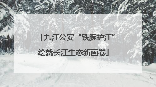 九江公安“铁腕护江”绘就长江生态新画卷