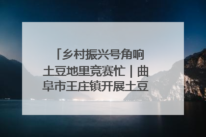 乡村振兴号角响 土豆地里竞赛忙｜曲阜市王庄镇开展土豆收获劳动竞赛