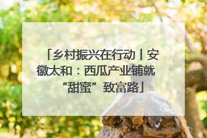 乡村振兴在行动丨安徽太和：西瓜产业铺就“甜蜜”致富路