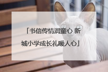 书信传情润童心 新城小学成长礼暖人心