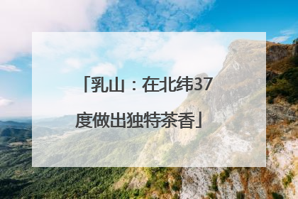 乳山：在北纬37度做出独特茶香