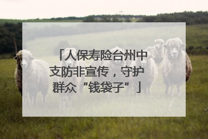 人保寿险台州中支防非宣传，守护群众“钱袋子”