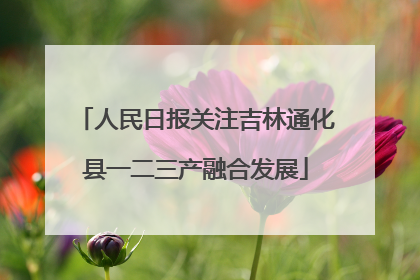 人民日报关注吉林通化县一二三产融合发展