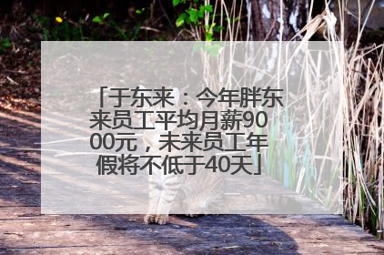 于东来：今年胖东来员工平均月薪9000元，未来员工年假将不低于40天