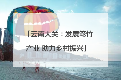 云南大关：发展筇竹产业 助力乡村振兴