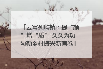 云霄列屿镇：提“颜”增“质” 久久为功勾勒乡村振兴新画卷