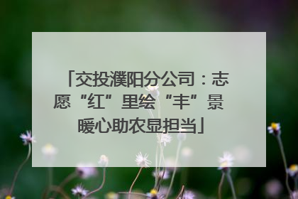 交投濮阳分公司：志愿“红”里绘“丰”景 暖心助农显担当