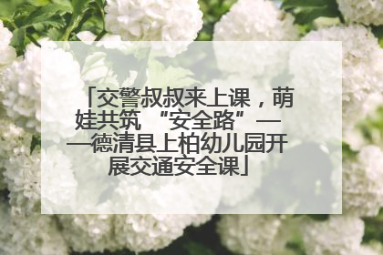 交警叔叔来上课，萌娃共筑 “安全路”——德清县上柏幼儿园开展交通安全课