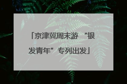 京津冀周末游 “银发青年”专列出发