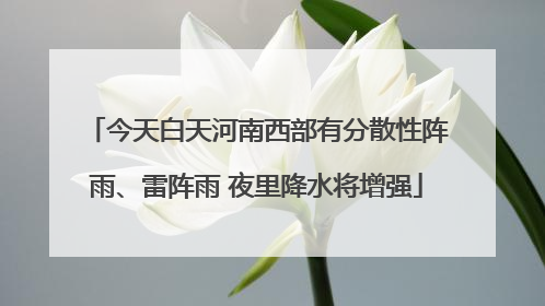 今天白天河南西部有分散性阵雨、雷阵雨 夜里降水将增强