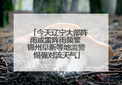 今天辽宁大部阵雨或雷阵雨频繁 锦州阜新等地需警惕强对流天气