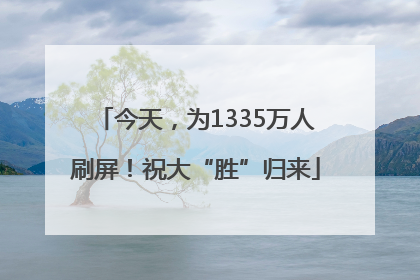 今天，为1335万人刷屏！祝大“胜”归来