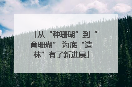 从“种珊瑚”到“育珊瑚” 海底“造林”有了新进展
