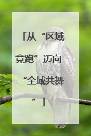 从“区域竞跑”迈向“全域共舞”