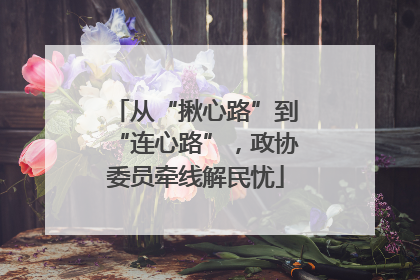 从“揪心路”到“连心路”，政协委员牵线解民忧