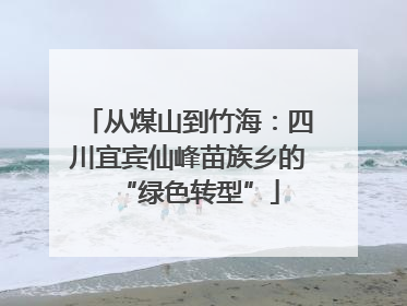 从煤山到竹海：四川宜宾仙峰苗族乡的“绿色转型”