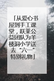 从爱心书屋到手工课堂，跃莱公益团队为羊楼洞小学送去“六一”特别礼物