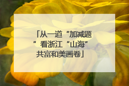 从一道“加减题”看浙江“山海”共富和美画卷