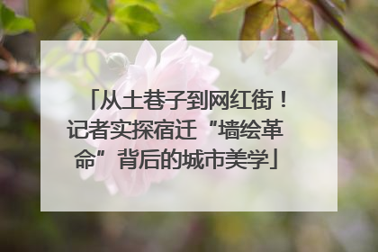 从土巷子到网红街！记者实探宿迁“墙绘革命”背后的城市美学