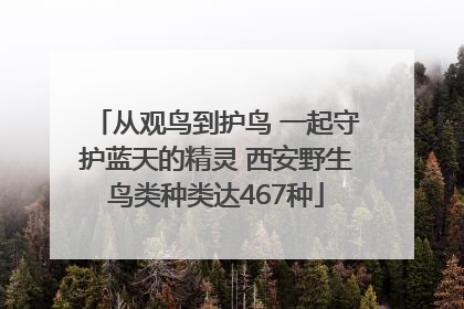 从观鸟到护鸟 一起守护蓝天的精灵 西安野生鸟类种类达467种