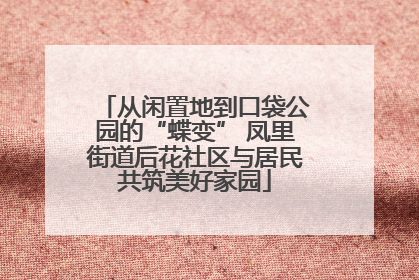 从闲置地到口袋公园的“蝶变” 凤里街道后花社区与居民共筑美好家园