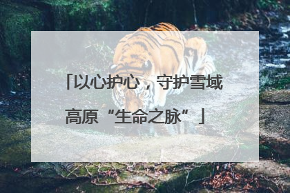 以心护心，守护雪域高原“生命之脉”