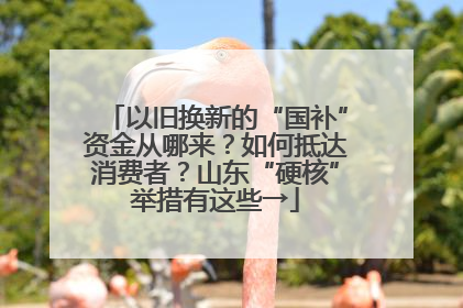 以旧换新的“国补”资金从哪来？如何抵达消费者？山东“硬核”举措有这些→