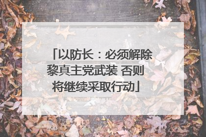 以防长：必须解除黎真主党武装 否则将继续采取行动