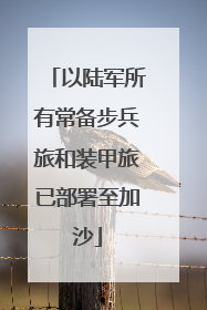 以陆军所有常备步兵旅和装甲旅已部署至加沙