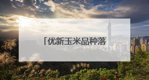 优新玉米品种落地昌平 科学技术指导助力丰收