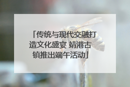 传统与现代交融打造文化盛宴 靖港古镇推出端午活动
