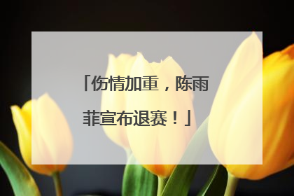 伤情加重，陈雨菲宣布退赛！