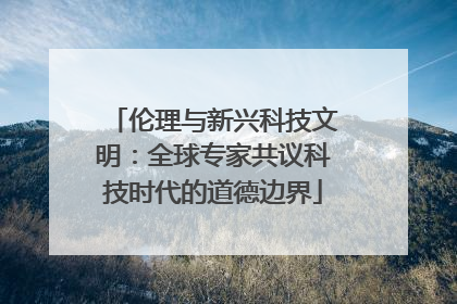伦理与新兴科技文明：全球专家共议科技时代的道德边界