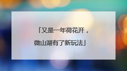 又是一年荷花开，微山湖有了新玩法